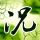 翘楚